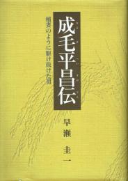 成毛平昌伝 稲妻のように駆け抜けた男