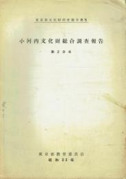 小河内文化財総合調査報告 第2分冊