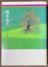 風光る丘