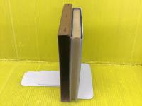 新興日本の将来