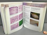 Dermatopathology 皮膚科学
