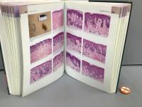 Dermatopathology 皮膚科学