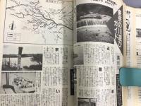 東京生活全情報 DELUXE angleNo.1