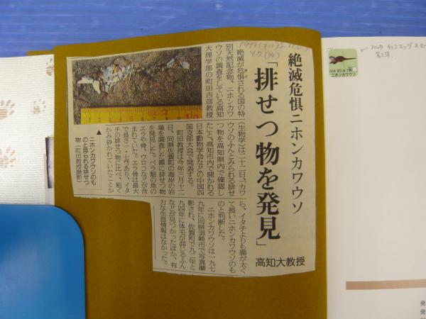 人気沸騰ブラドン ニホンカワウソやーい！ 高知新聞社 - ノンフィクション/教養 - sabet-psychologist.ir