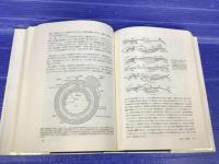 脊椎動物のからだ : その比較解剖学 | ¥19,000 - 日本の古本屋 / 日本
