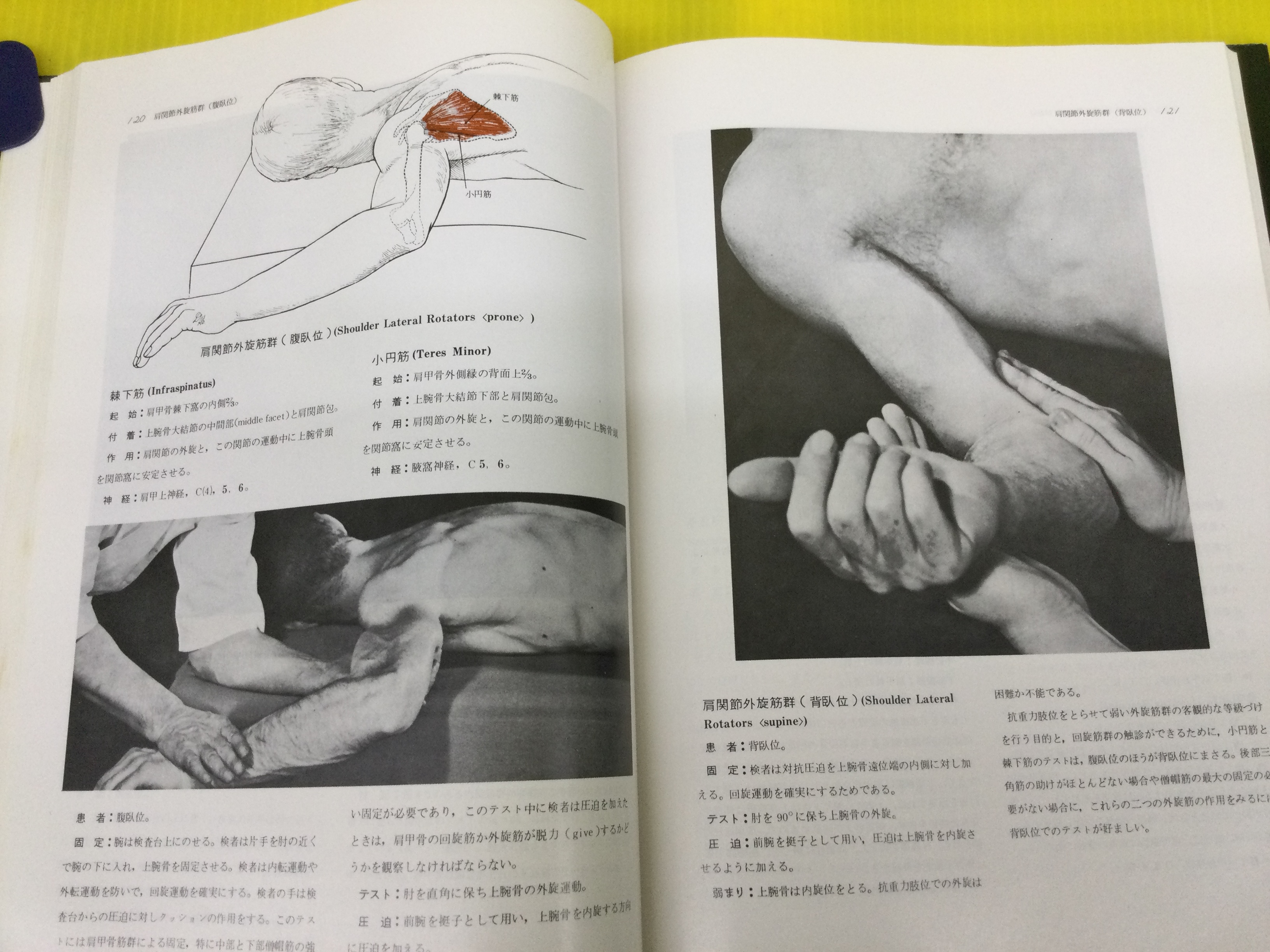 筋力テスト : 筋の機能と検査(ヘンリー・O.ケンダル