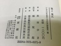 雲よ還れ 16歳で戦死したわが子へ