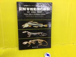 図解脊椎動物の解剖