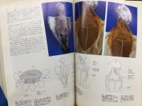 図解脊椎動物の解剖