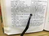 日本語-チェコ語辞典