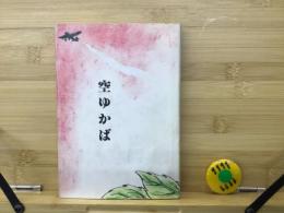 空ゆかば : わが兄の飛行機事故