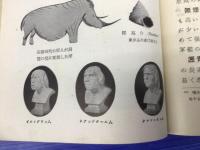 女子鑛物界