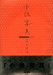 小説写真