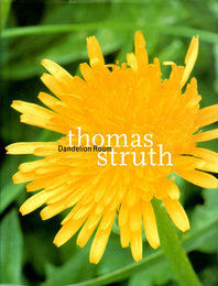トーマス・シュトゥルート写真集　Dandelion Room　Schirmer art books
