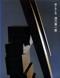 樹と木と気　澄川喜一展