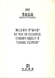 豊島弘尚展　1997　例えば未生・Ⅳ　宇宙の花