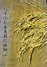 八重山在来米栽培体験記