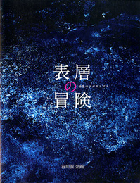 表層の冒険　抽象のアポカリプス
