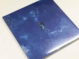 アンソニー・ヘルナンデス写真集　Everything