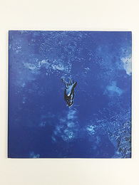 アンソニー・ヘルナンデス写真集　Everything