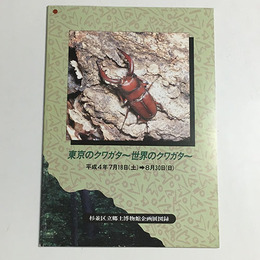 東京のクワガタ 世界のクワガタ