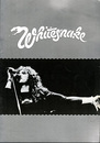 ホワイトスネイク ツアーパンフ　Whitesnake 1981