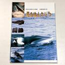 海の住人クジラ　浜通りのクジラ化石