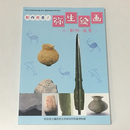 新発見！弥生絵画　人・動物・風景