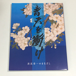 青天を衝け～渋沢栄一のまなざし～