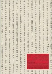 〈私〉の解体へ：柏原えつとむの場合