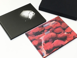 デイヴィッド・ドイッチュ作品集　Paintings/Photographs　2冊組