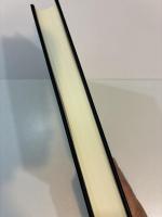 現代日本語における意図性副詞の意味研究 認知意味論の観点から ひつじ研究叢書 〈言語編〉 193巻