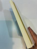 自閉スペクトラム症と言語