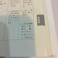 MP3音声付き 本気で学ぶ上級中国語 ＜High Language Learning＞ 