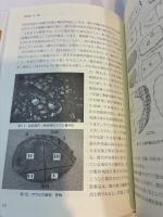 再考「弥生時代」 農耕・海・集落 