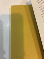 自閉症の脳を読み解く どのように考え、感じているのか