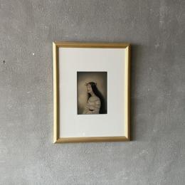 【額作品】松井冬子 無傷の肖像 Virgin Portrait