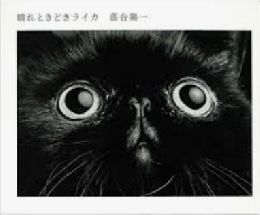 晴れときどきライカ