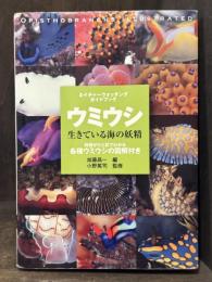 ウミウシ　生きている海の妖精 : ネイチャーウォッチングガイドブック : 特徴がひと目でわかる各種ウミウシの図解付き