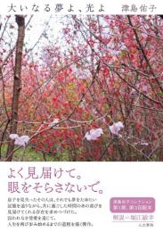 大いなる夢よ、光よ