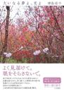 大いなる夢よ、光よ