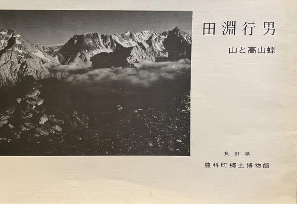 Amazon.co.jp: 楕円の日本 〔日本国家の構造〕 : 山折 哲雄