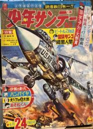 週刊少年サンデー　1966年24号（6月19日号）