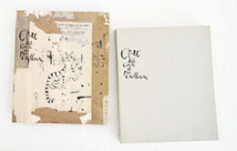 あるところの猫　Chat du coin et pas d'ailleurs / Where a cat is
