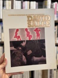 DAVID SALLE: Institute of Contemporary Art, University of Pennsylvania　デヴィッド・サーレ展図録