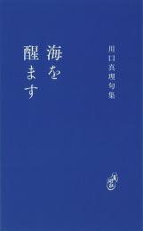 海を醒ます　句集