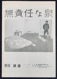 無責任な泉　菅沼緑展