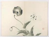 景年習画帖　第三