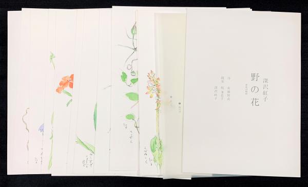 『野の花』 深沢紅子 作 無綴多色刷複製水彩画12枚組 限定350部1981年 野の花 深沢紅子 / 古本、中古本、古書籍の通販は「日本の古本屋