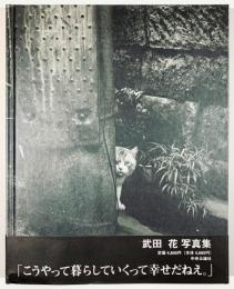 猫　TOKYO WILD CATS